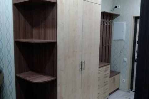 Прихожая стильная
